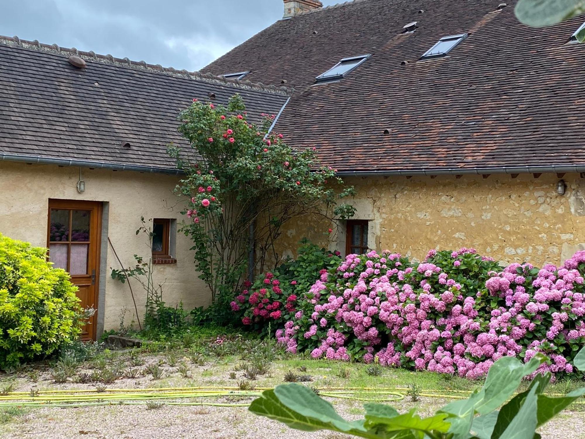 Chambre D'Hotes Du Domaine De La Haute Poignandiere Saint-Germain-de-la-Coudre Dış mekan fotoğraf